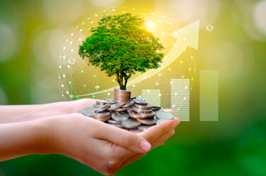 Invertir en empresas verdes.